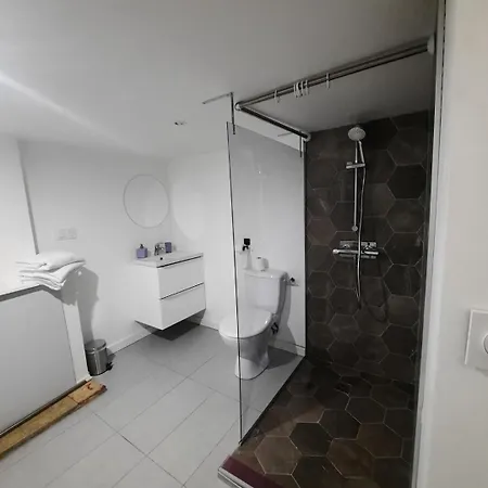 Le Plein Centre Apartment Montbrison