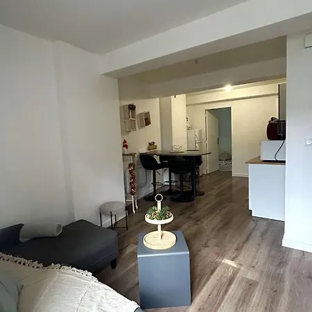 Apartment Le Plein Centre *